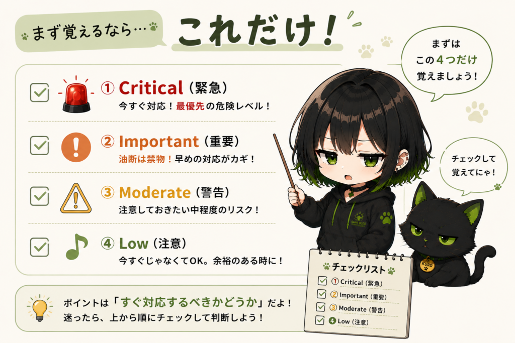 サナが「重要だからって安心しないでください」って説明してる画像