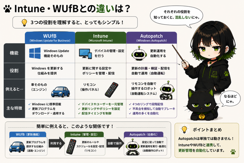 サナが3つの役割を比較している画像