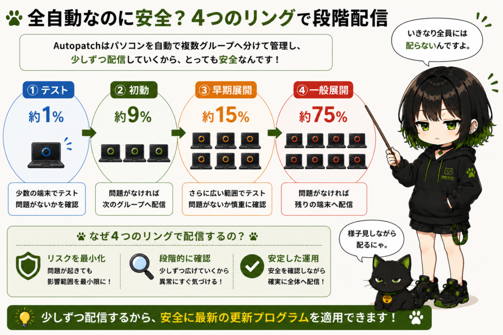 サナが4段階のリングを説明している画像