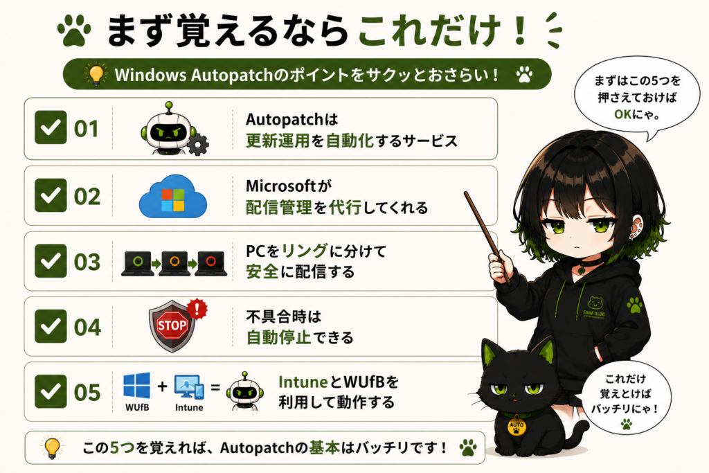 ミニサナ＋クロのチェックリスト画像